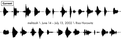 melitzah
Risa Horowitz
June 14 - July 13, 2002
Opening & Talk: Friday, June 14 at 7:00pm